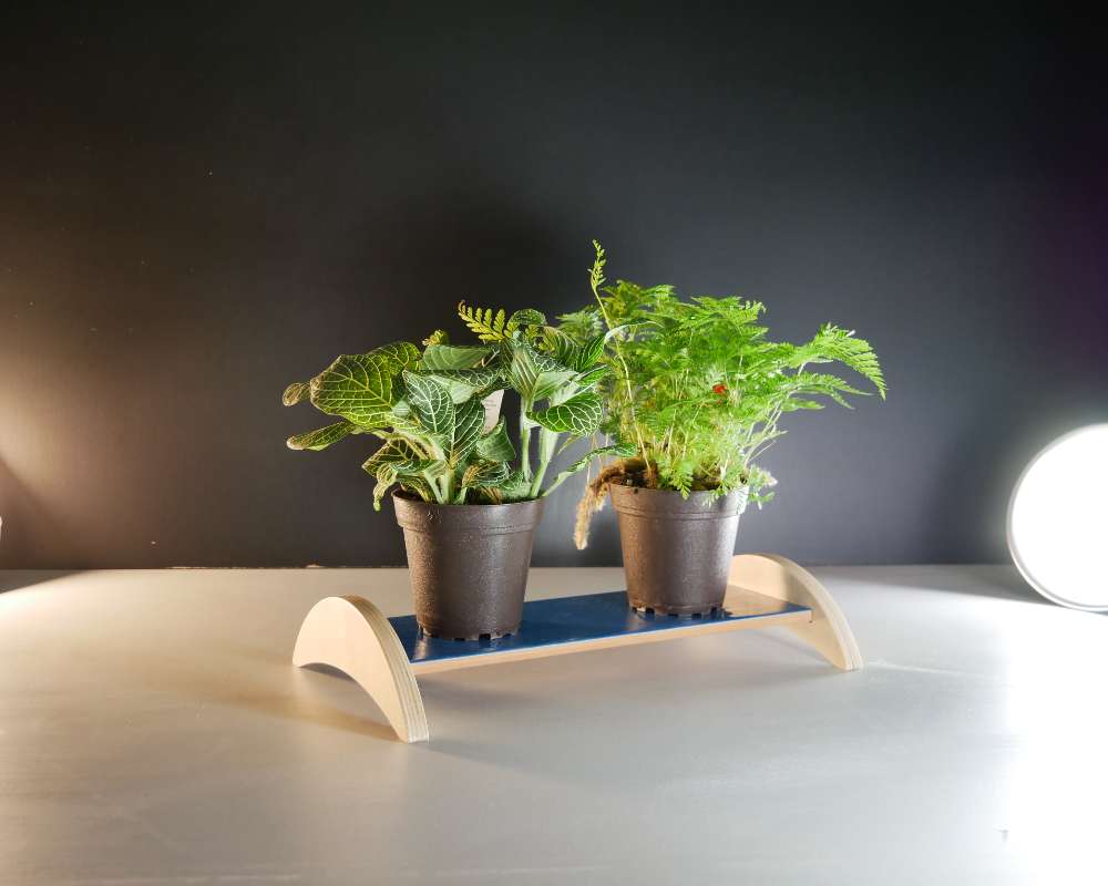 a small indoor plant stand with a blue ceramic tile shelf